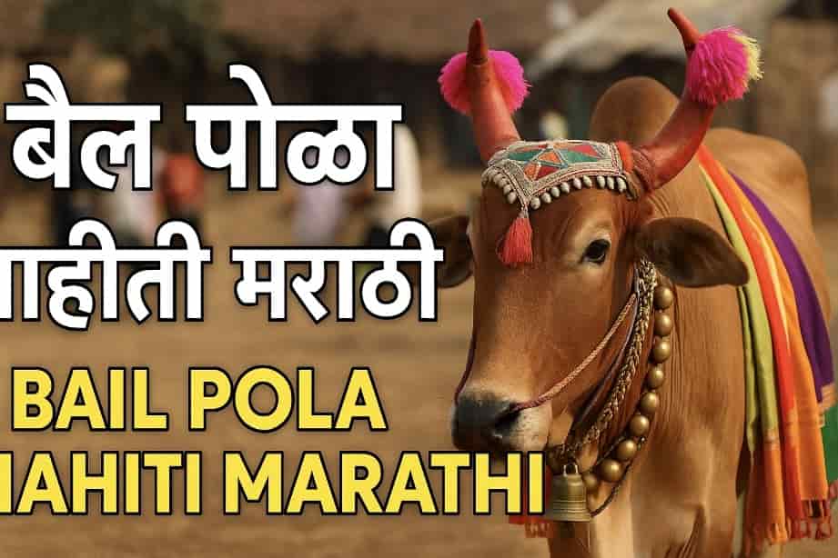 Bail Pola Nibandh Mahiti Marathi